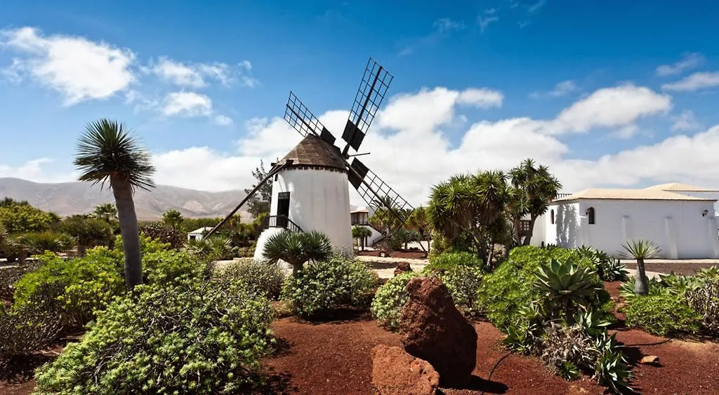 On The Beach Apartment Corralejo